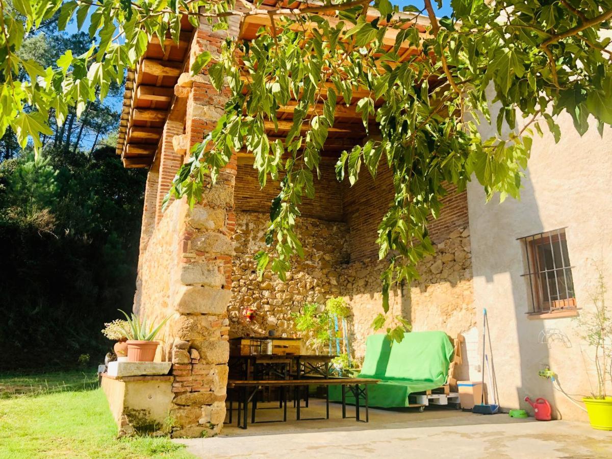 Casa Rural Can Miquel - En Pleno Bosque Y Cerca De La Playa - Increibles Rutas Btt Santa Coloma De Farners Exterior foto